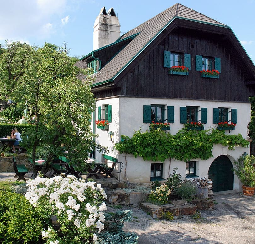 Weinhof Zimmermann | Impressionen Weinhof Zimmermann | Impressionen